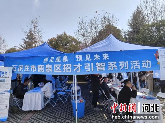 鹿泉招聘网最新招聘,鹿泉招聘网最新招聘，观点论述