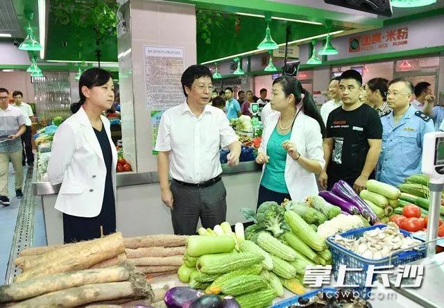 韶关芙蓉新区最新动态揭秘，小巷深处的独特风情