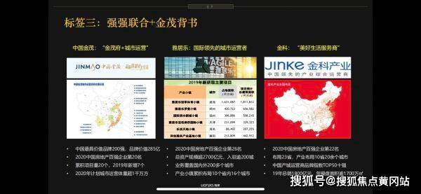 聊呗最新动态深度解析与观点阐述