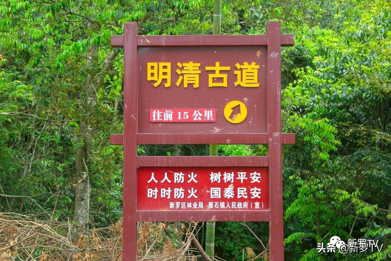 霏最新，自然美景之旅，探寻内心的平和与喜悦