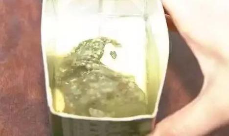 汇源果汁最新动态及观点论述揭秘