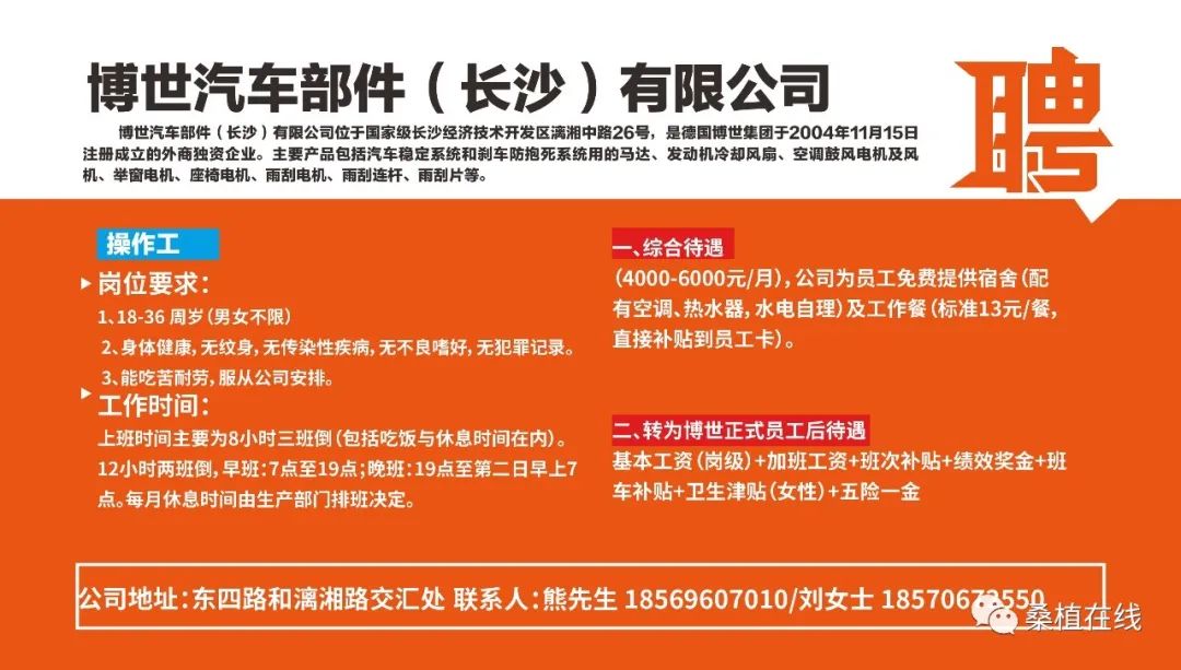 东丰招聘信息大全，求职全步骤指南