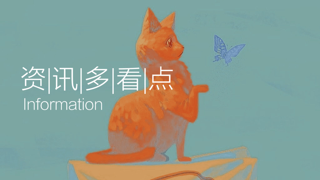 今日时政动态概览，掌握时政资讯的步骤指南