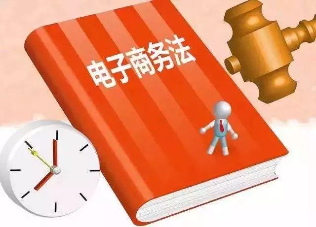 最新法规编号下的法律制定及其观点阐述