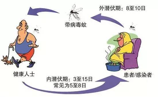 最新登革热病例报道与小巷深处的特色小店探秘揭秘