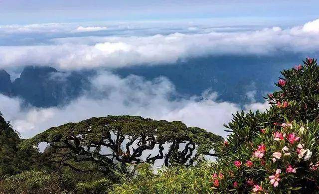 探索自然美景的轻松之旅，最新凯源带您寻找内心的平和与宁静