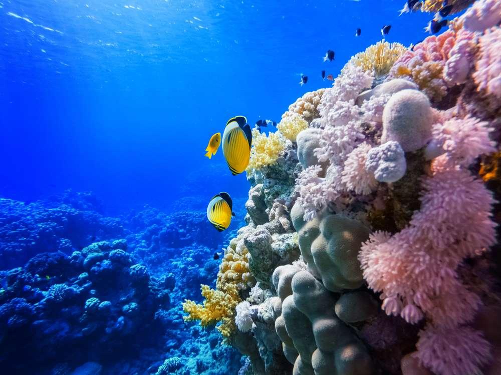 周扒皮最新探险日志，轻松探寻自然美景之旅