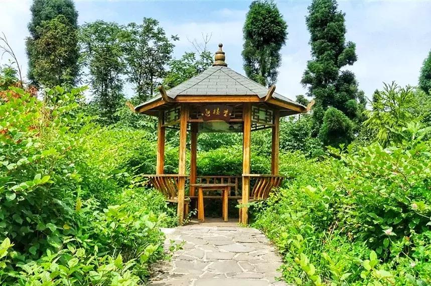 最新抽奖活动，自然美景探索之旅，远离尘嚣，发现内心平静之旅