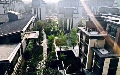 永威逸阳溪畔最新进展与未来展望——动态更新揭秘