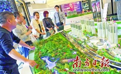 中山东凤佛奥最新进展报告