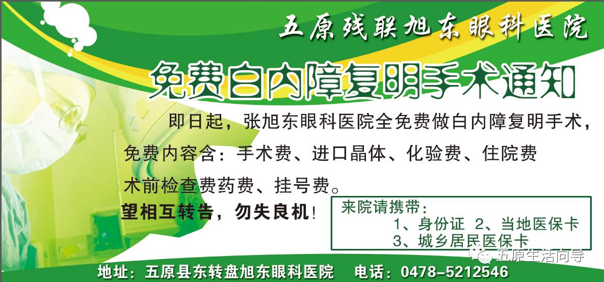广山驾校最新通知，友情与陪伴的温馨故事开启