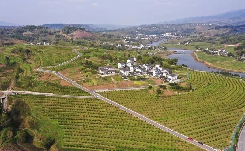 阜阳最新土地出让，自然美景的探索之旅启动