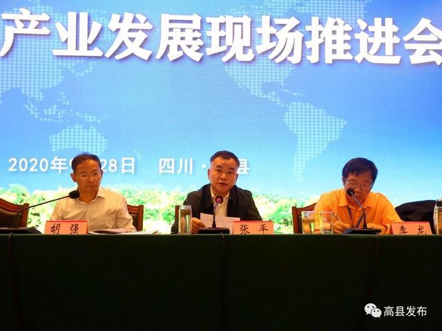 高县最新新闻综述，观点阐述与未来展望