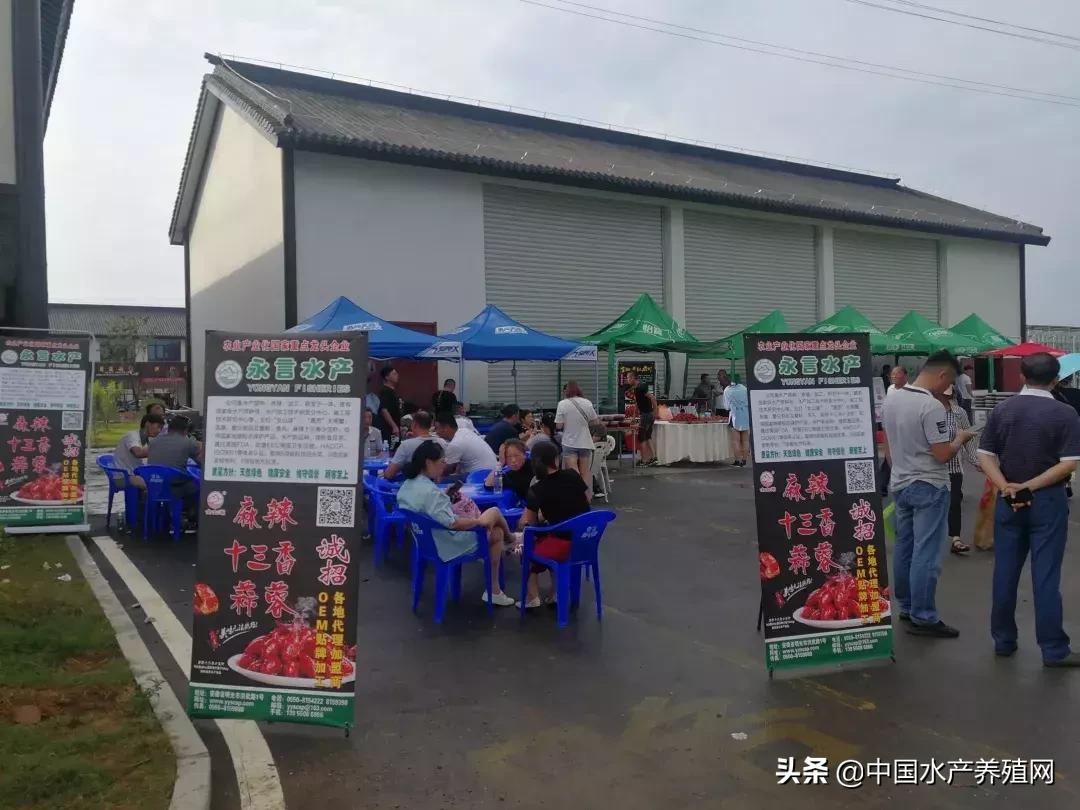 滁州工厂最新招聘，高科技产品引领未来，科技生活完美融合体验