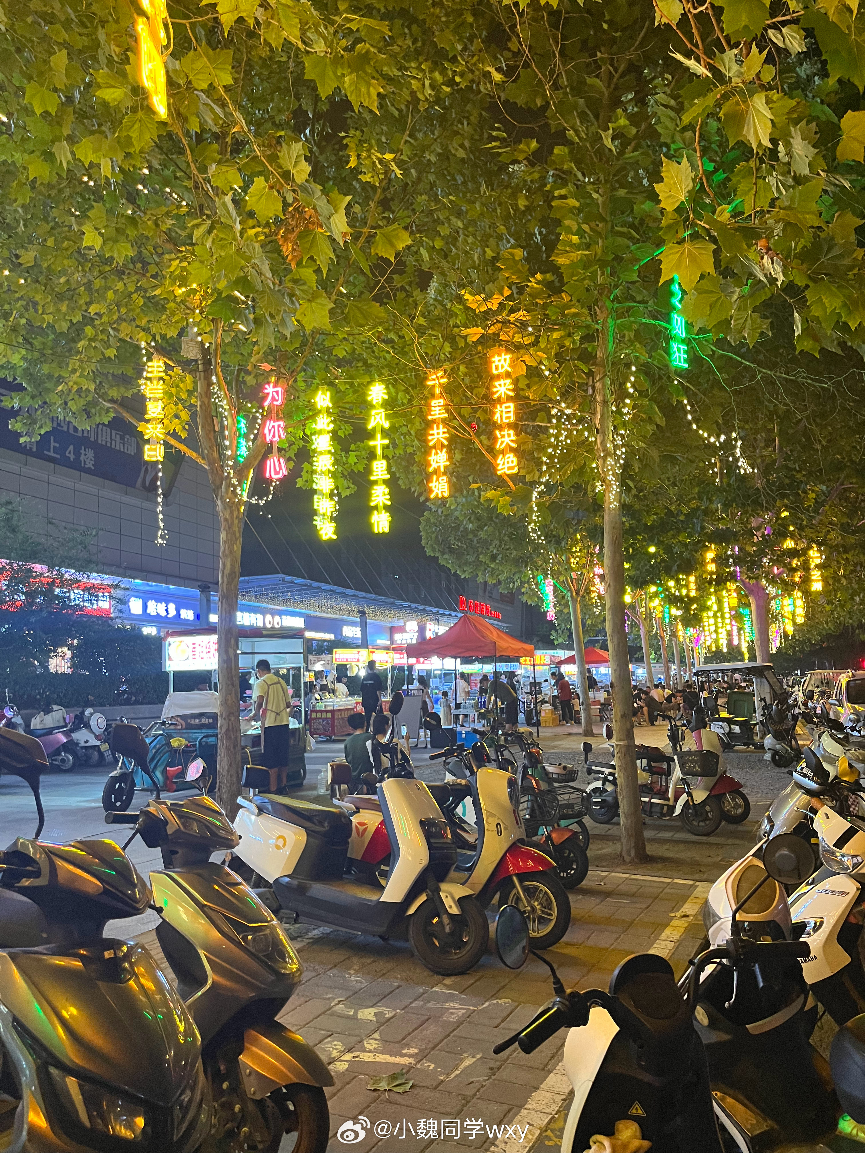 郑州上街最新新闻，小巷深处的独特风味