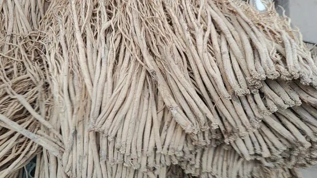 科技 第46页