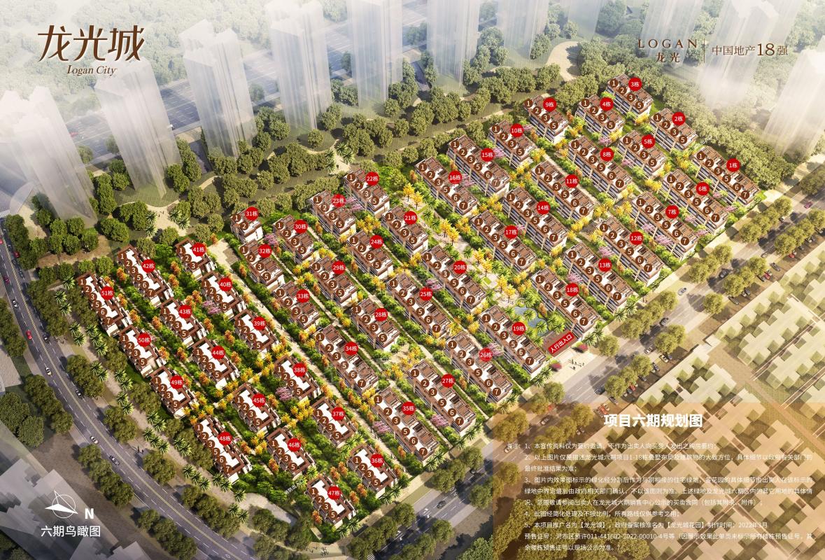 龙光城最新动态揭秘，日常趣事与温情纽带