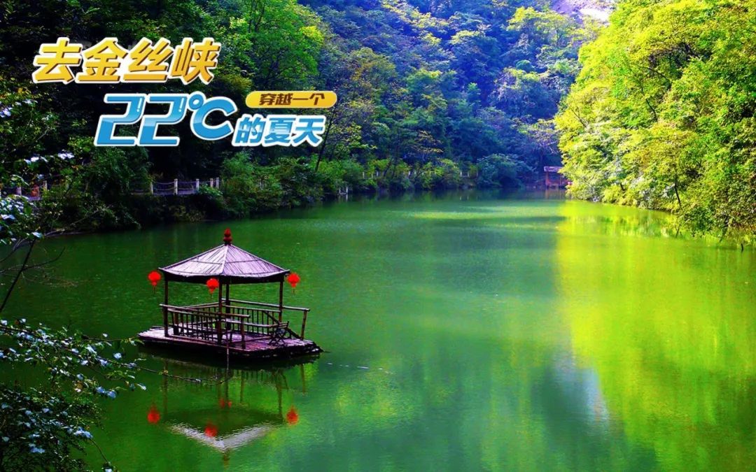 新平本地最新招聘，小巷深处的职业机遇等你来探索！
