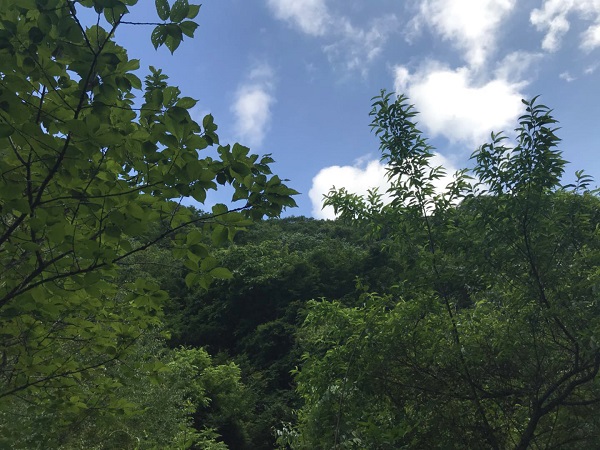 科技 第41页