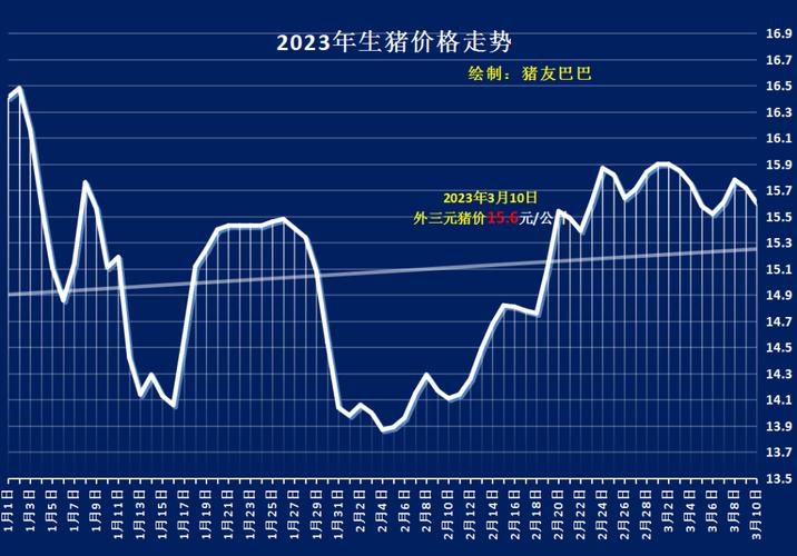 猪猪论坛最新猪价动态，洞悉市场，掌握行业趋势