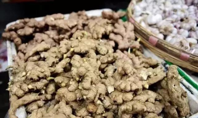 织金最新招聘信息揭秘，小巷中的特色小店，独特环境成求职惊喜