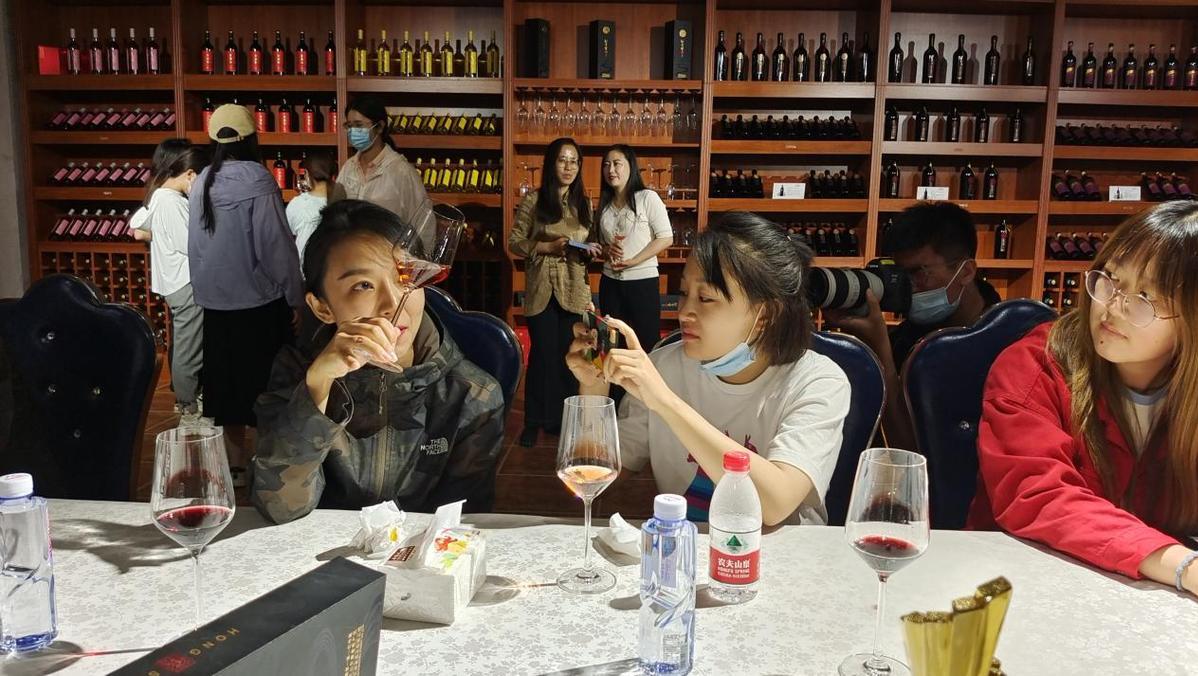 1314最新酒色官网，共探自然美景奇迹之旅