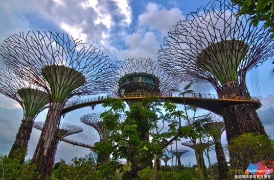 秘密花园最新网站，自然美景的探索之旅