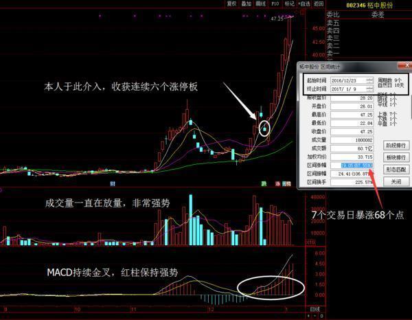 宁波联合股票最新动态，温馨股市故事与最新消息解读