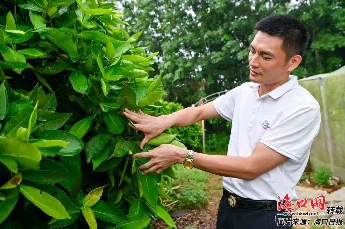 海口人才网最新招聘信息揭秘与小巷特色小店的奇妙之旅