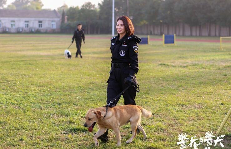 知识 第31页
