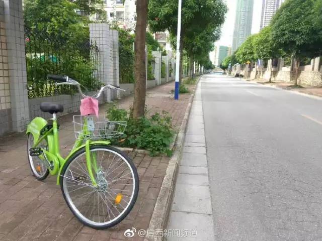 最新骑自行车碰瓷事件背后的自然美景探索之旅