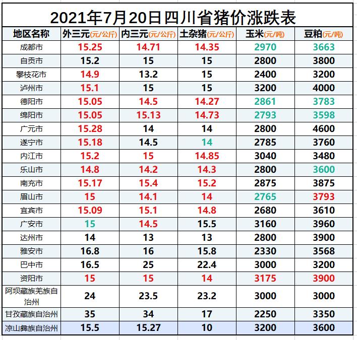 成都今日猪价实时更新，最新消息与动态分析🔥