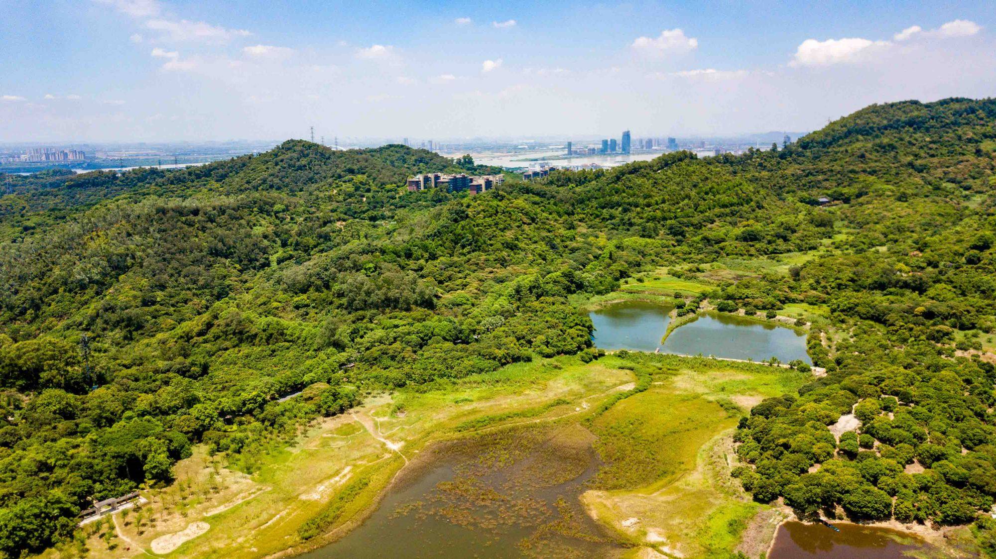 南沙最新新闻动态，自然美景探索之旅的治愈力量