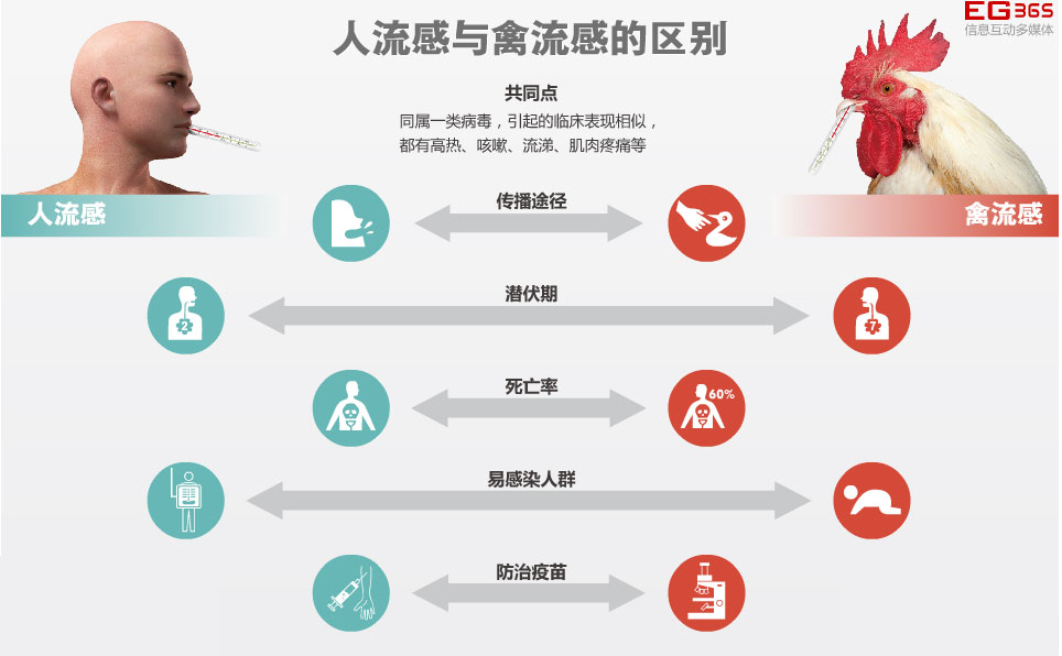 H7N9禽流感最新疫情，多方观点分析与个人立场表达