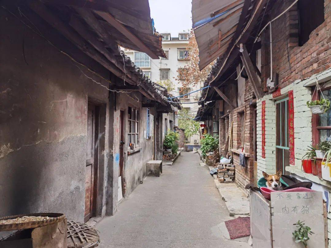 窦店棚户区最新动态，小巷特色小店展现独特魅力
