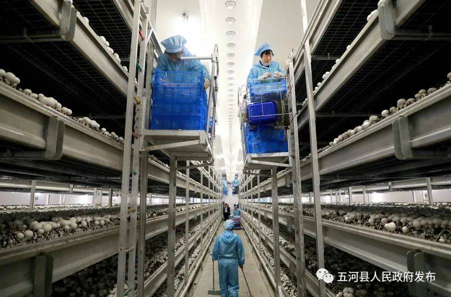 五河县最新人事任免消息及动态更新