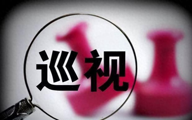 黑龙江巡视组最新动态，深度解读，权威发布！