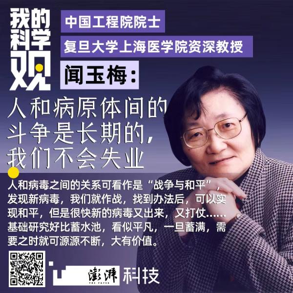 闻玉梅乙克最新进展，全面了解与应用指南揭秘