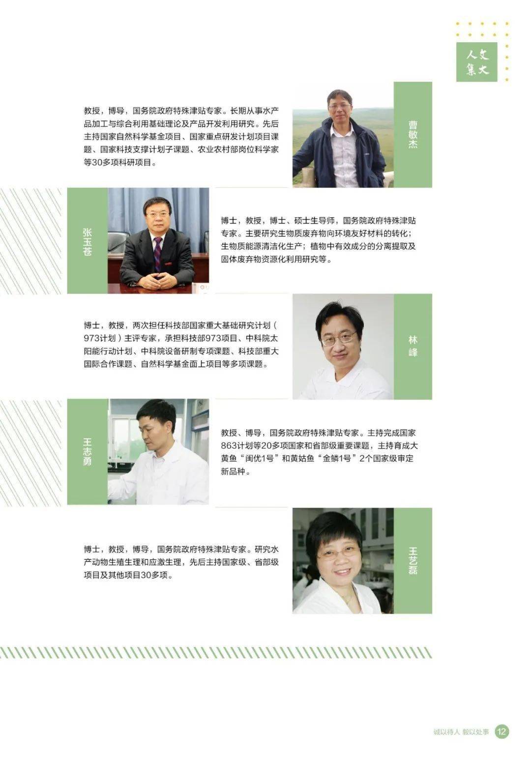 大泼猴电视剧最新动态，全面指南与追踪步骤