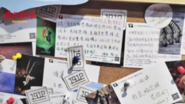 畅购一卡通，小巷中的隐藏宝藏，开启购物新纪元探索之旅