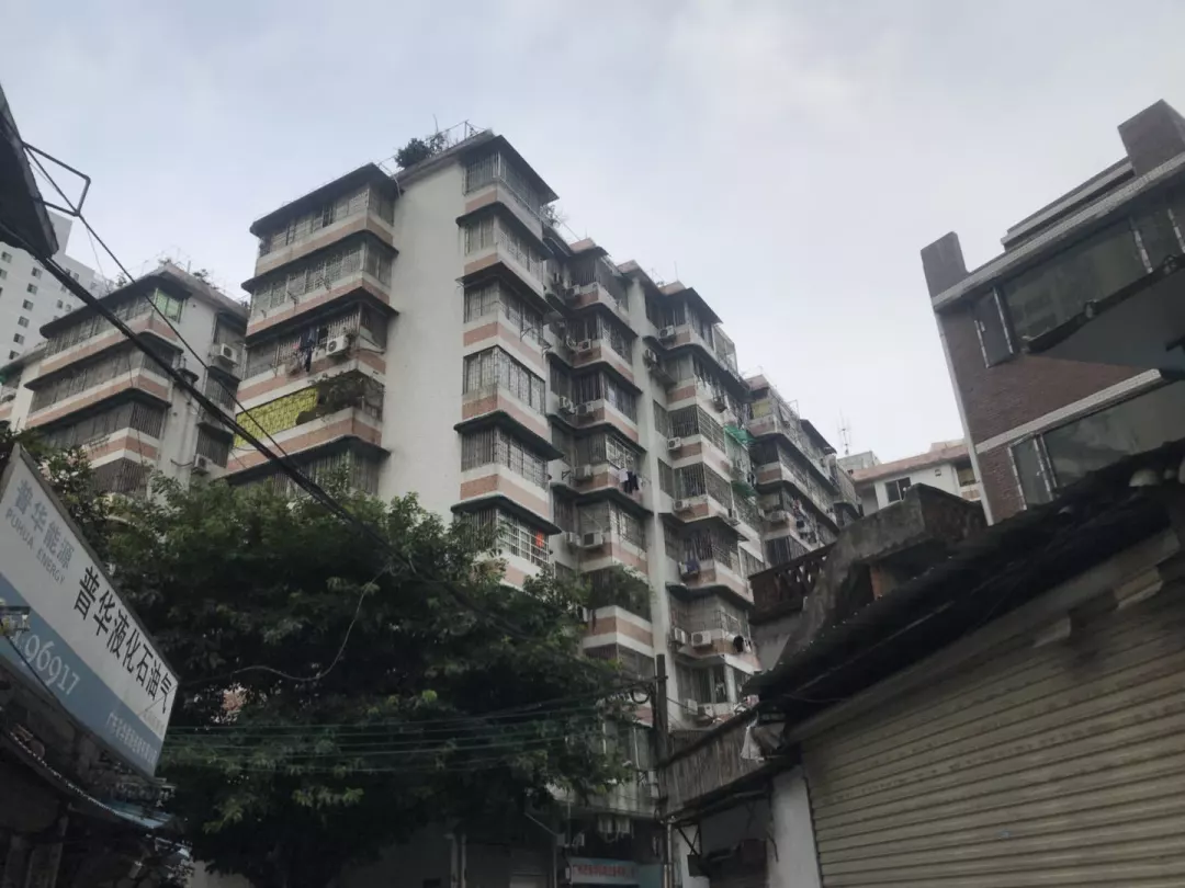 武清最新房价揭秘，小巷深处的意外惊喜