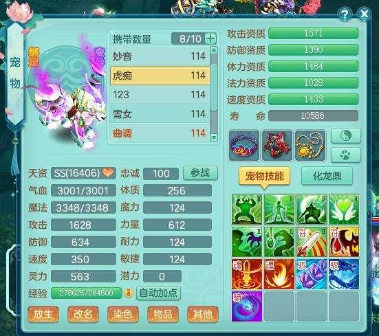 O24最新动态，从零开始的技能掌握步骤指南